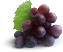 grape