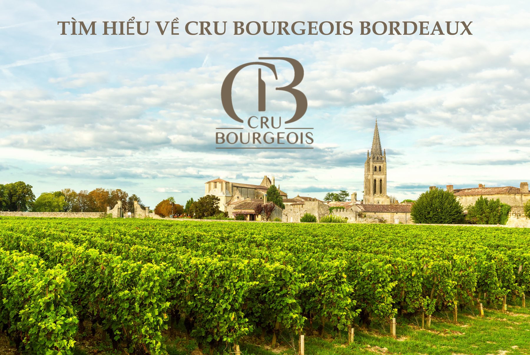 Thưởng thức Vang có độ chát cao với thịt bò sẽ rất ngon.