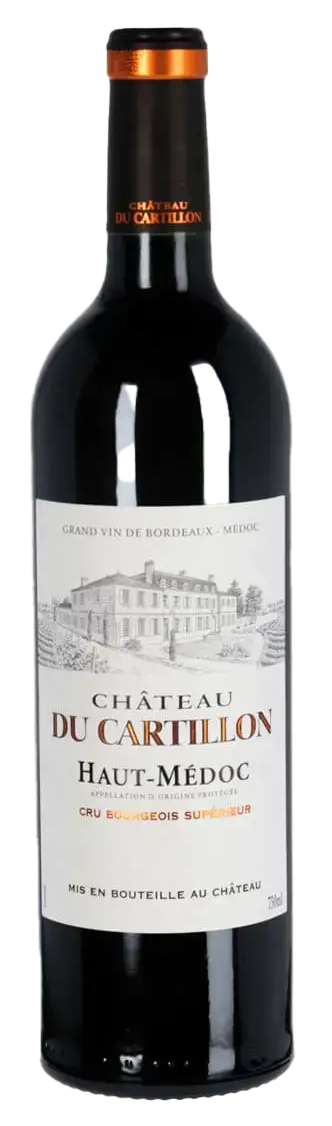 Chateau Du Cartillon