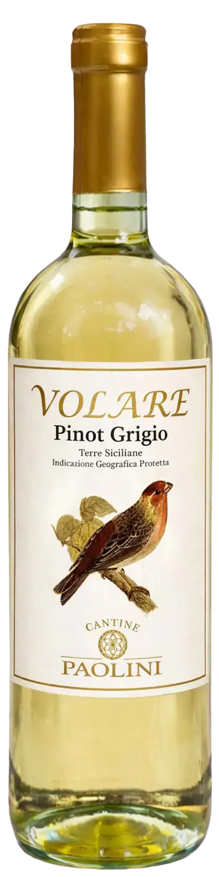 Paolini Volare Pinot Grigio White Wine
