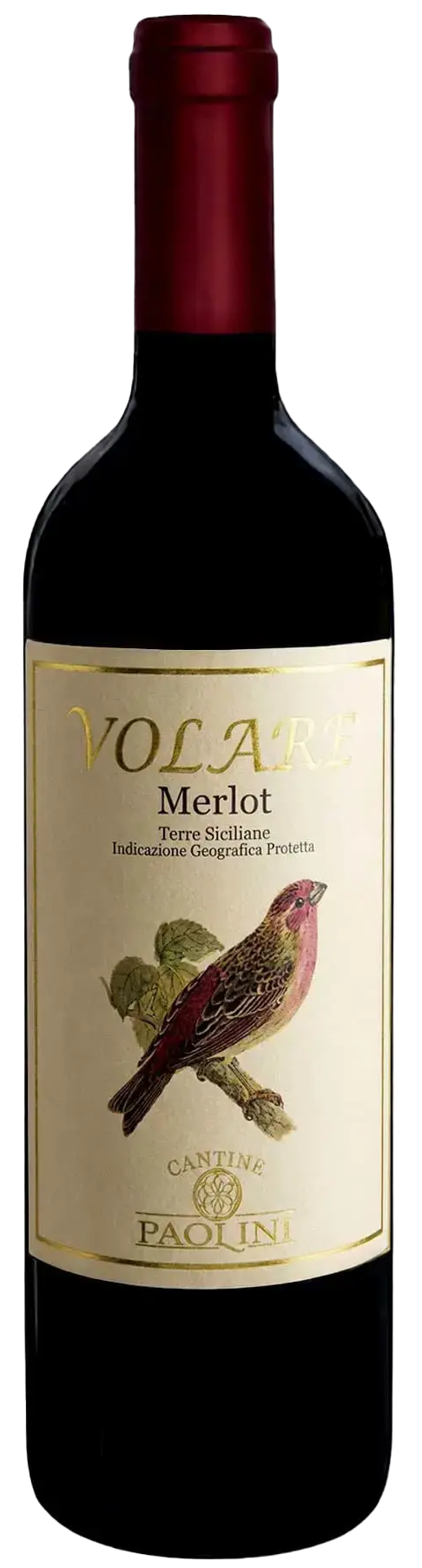 Paolini Volare Merlot Red Wine